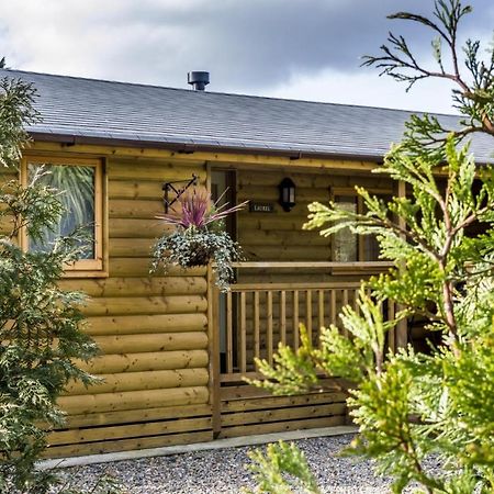Laurel Lodge - 2 Bedroom Log Cabin - St Florence Saint Florence Bagian luar foto